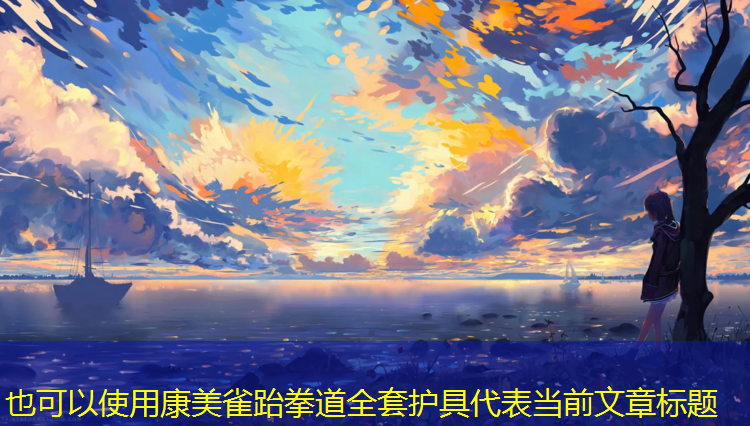 康美雀跆拳道全套护具