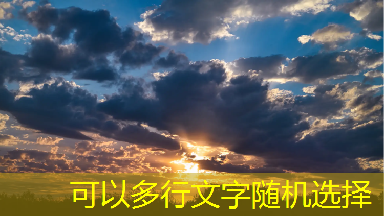 塑胶跑道种类图解