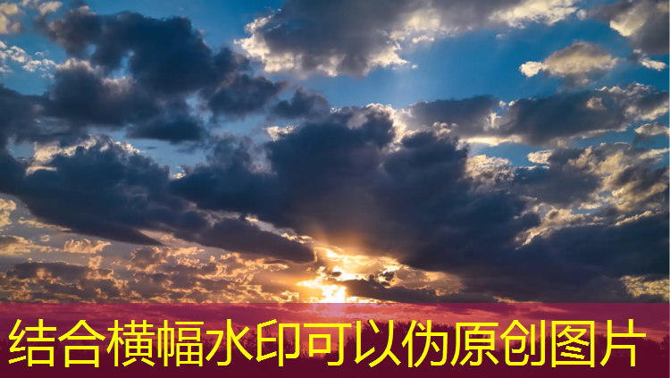 老年人网球网球