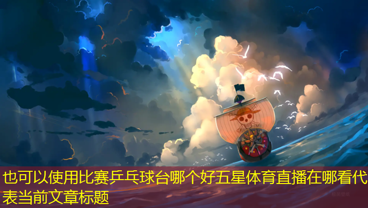 比赛乒乓球台哪个好五星体育直播在哪看