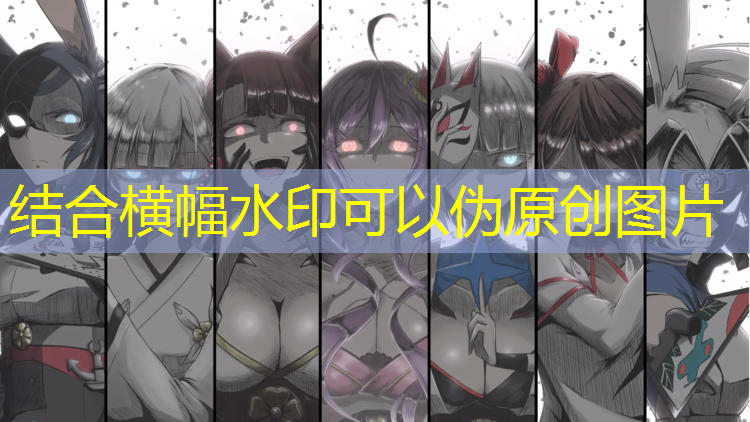 南川网球网价格
