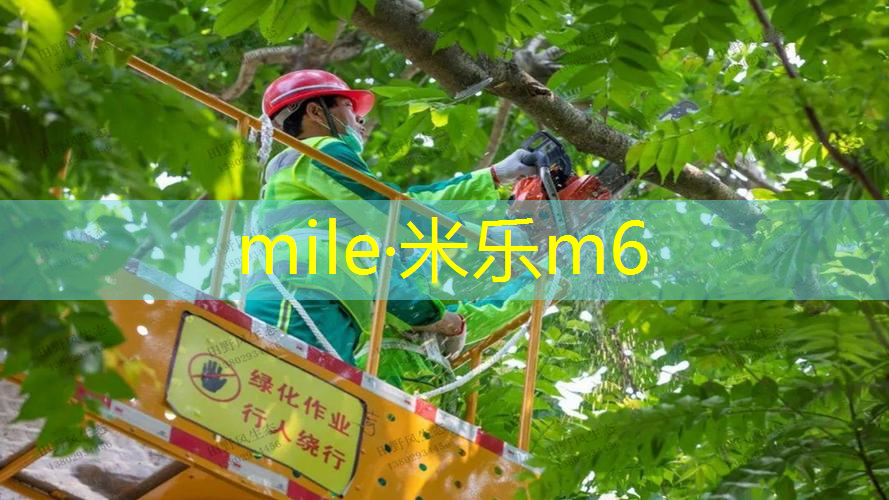 网球拍停球教学反思总结