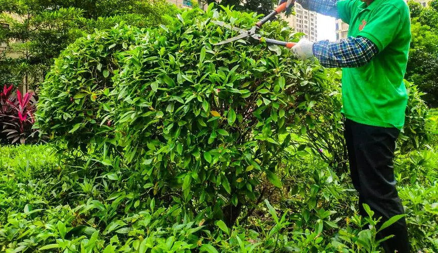 这怎样背网球拍好看