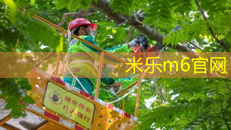 体育工程如何改善运动场地的信号覆盖和无线技术？