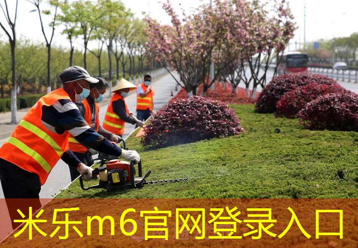 mile·米乐m6：单杠选手必看！门上单杠和落地单杠优劣对比