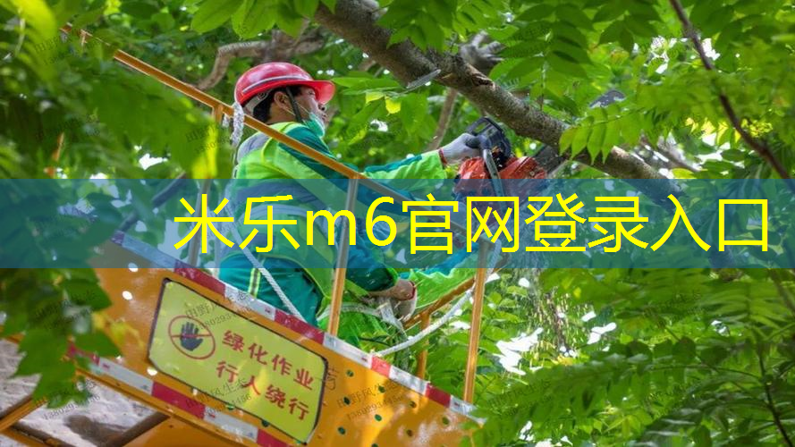 mile米乐m6官网：室内健身空气