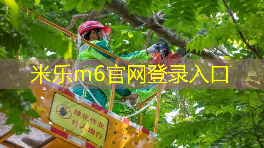 儿童室内健身网
