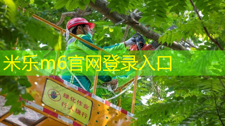 mile·米乐m6：中国室内健身器材