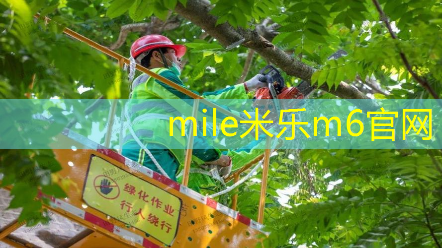 网球拍停球教学反思总结