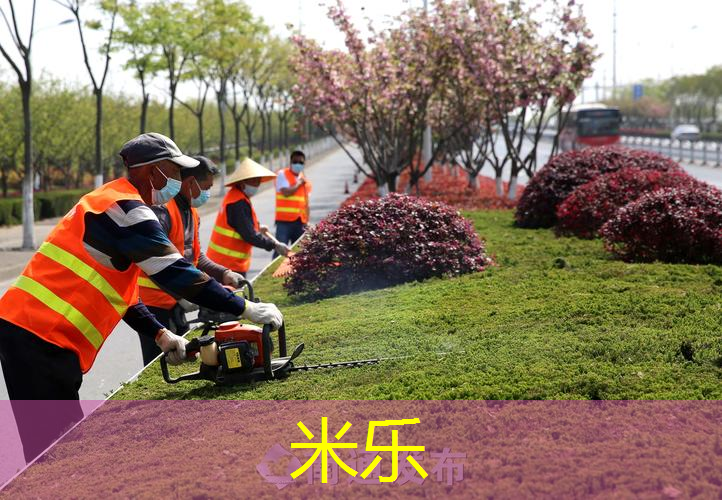 网球拍挥重和头重轻
