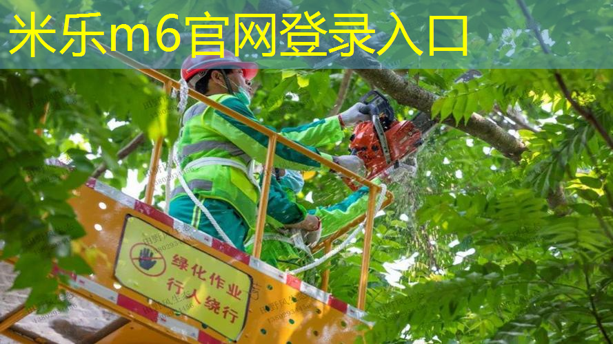 高速摄像机网球拍怎么安装