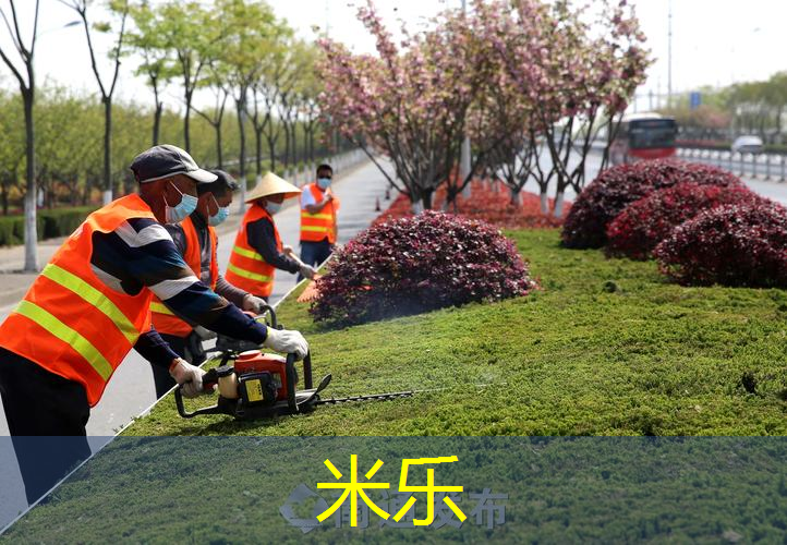 乒乓球台上墙