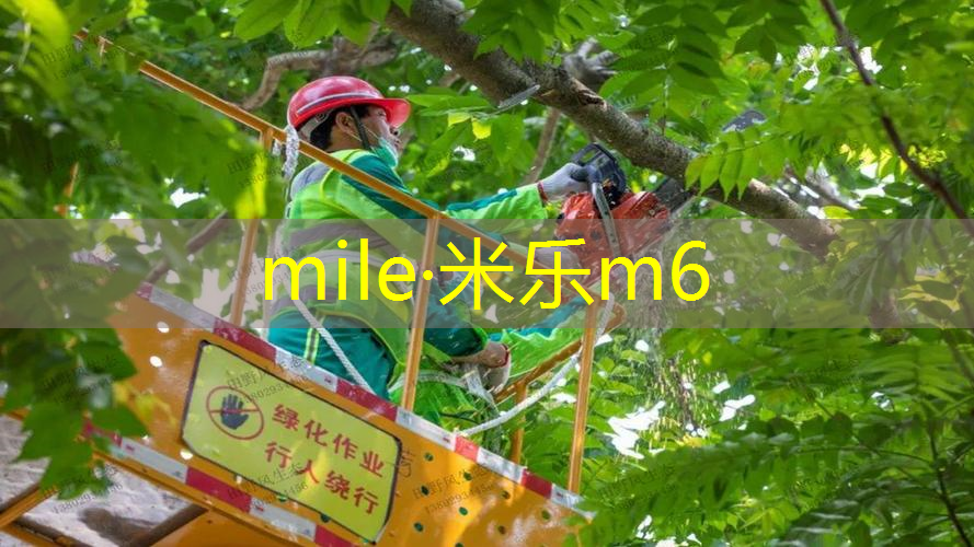 儿童室内健身网